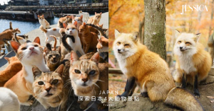 【日本旅行】日本4大動物景點推薦：東京羊駝牧場、宮城藏王狐狸村等